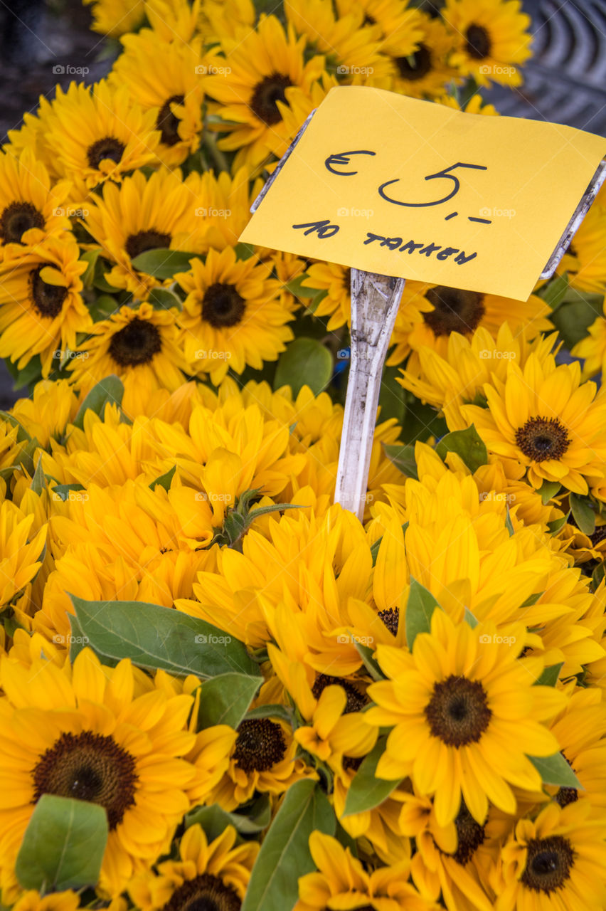 Flower market 