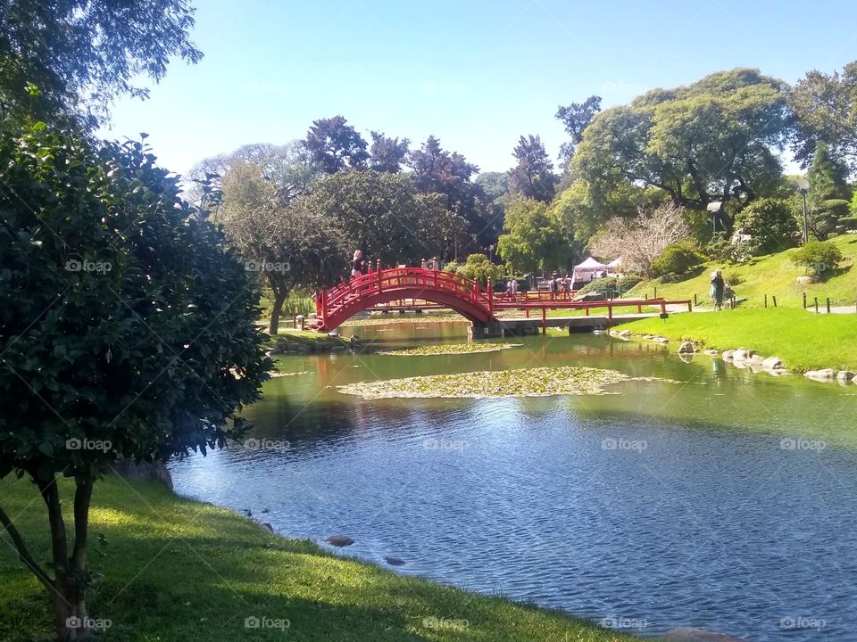 Japanese garden in Buenos Aires