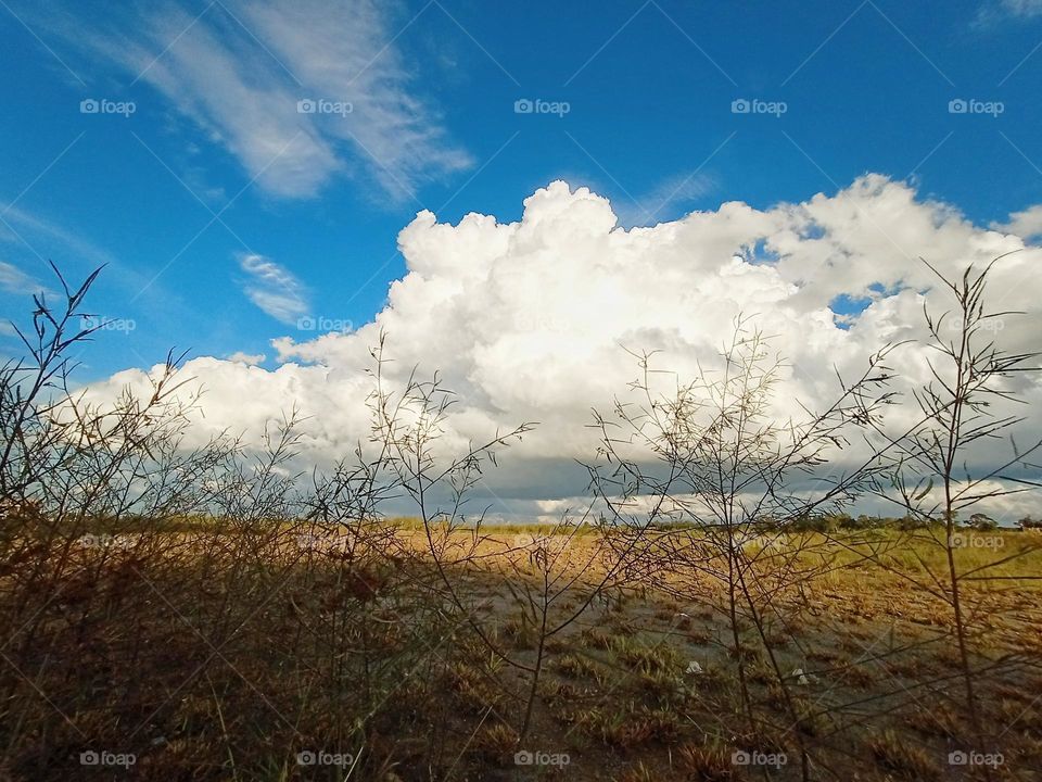 Life is like a landscape