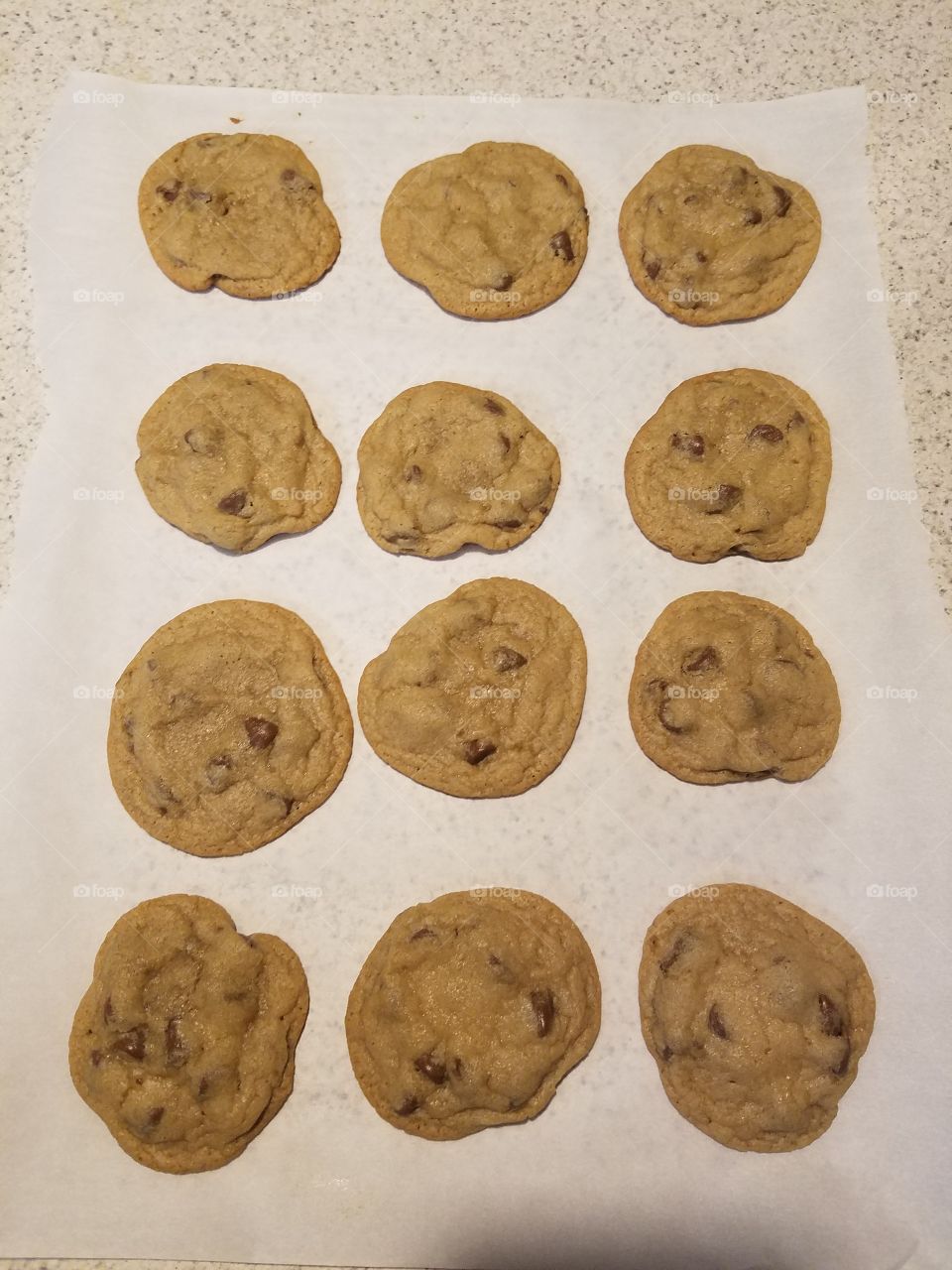 fresh out of the oven