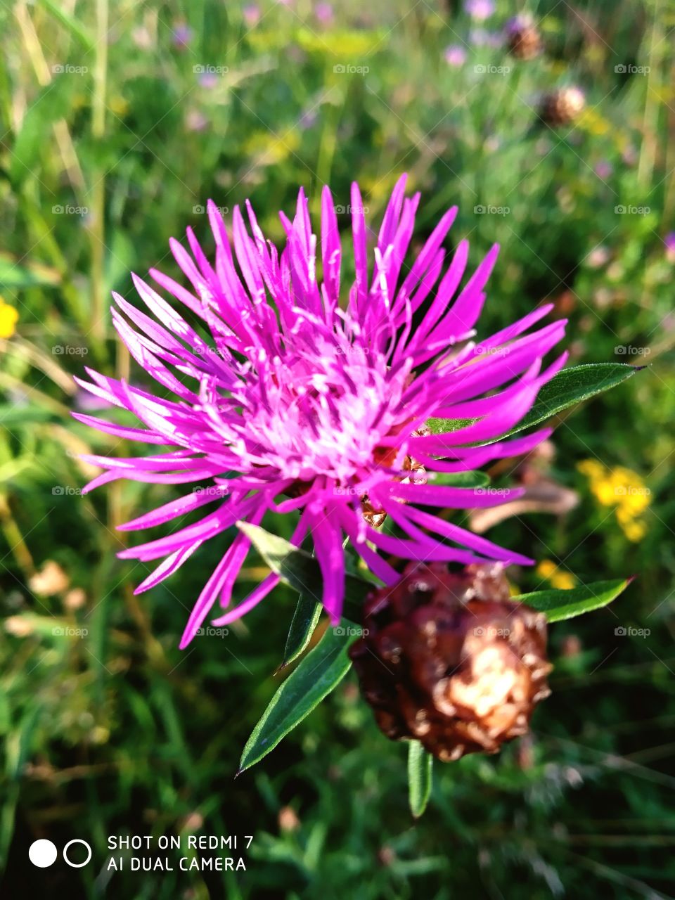 💐🌷🌹🥀🌻🌼🌸🌺🌎🌕🌝🌞🌛