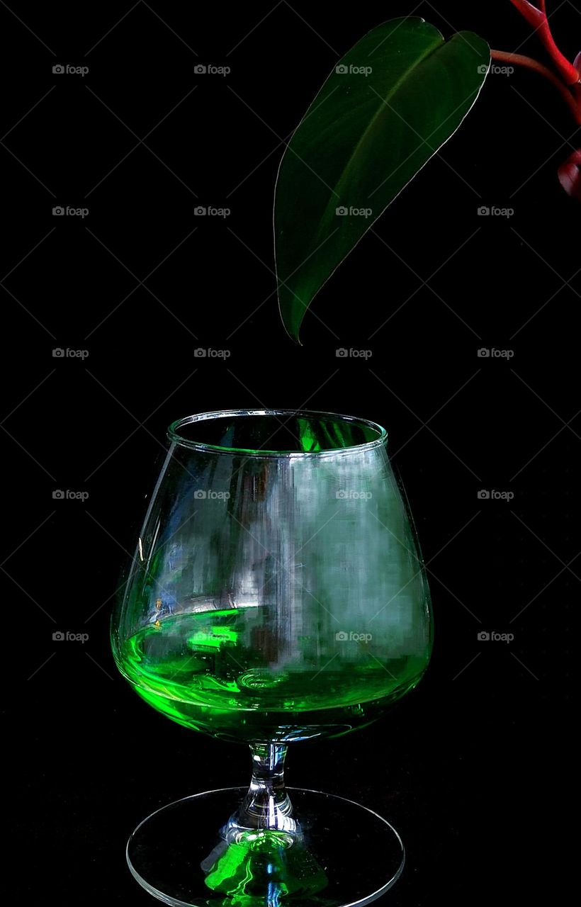 On a black background, a glass of green drink from tarragon. Above the glass is a green leaf of a liana