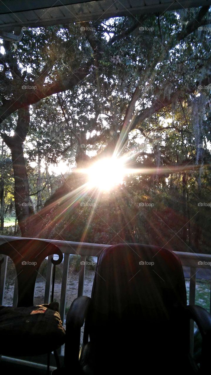 sunrise through the live oak