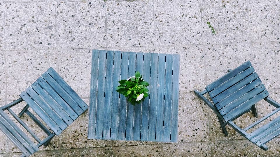 romantic summer outside