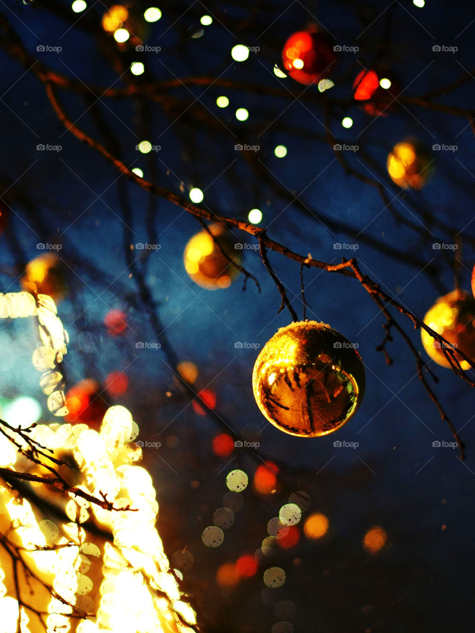 Close-up of a christmas tree