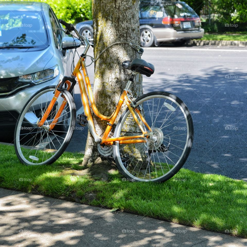Neighborhood bicycle