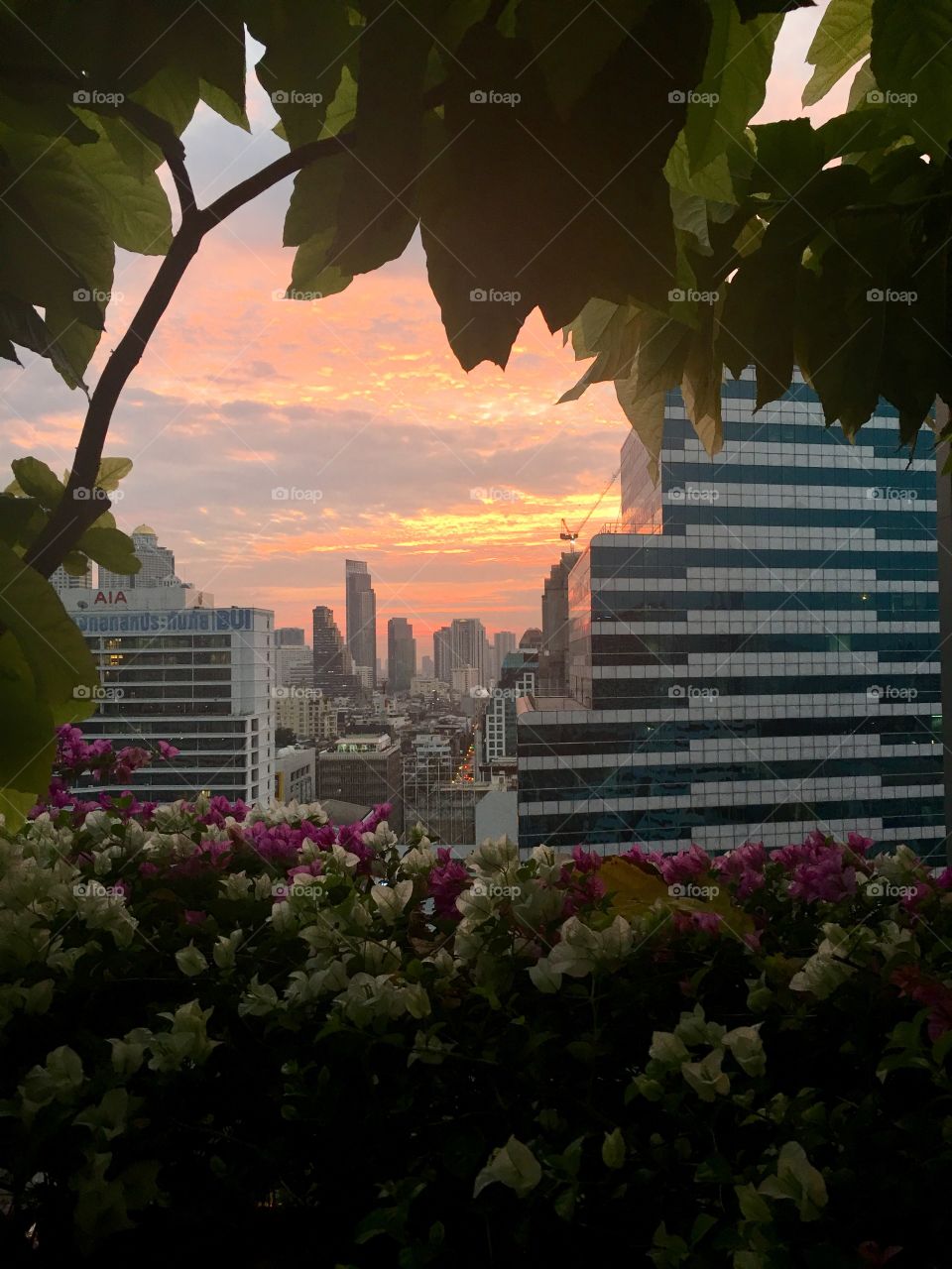 Sunset Bangkok ! 