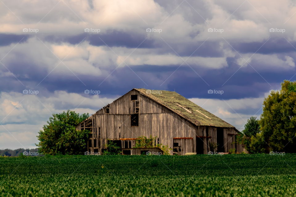 Emerald dreams farm barn