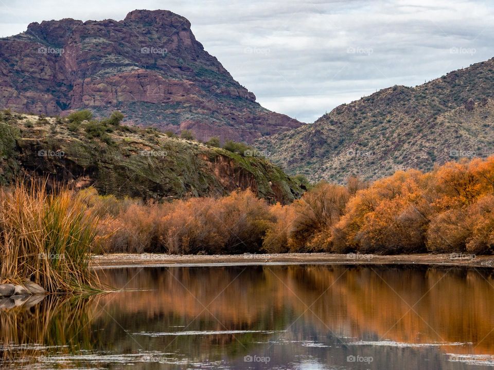 Late December in the Sonoran desert is a special time to explore with cool temperatures and diverse plant species creating a wide range of colors