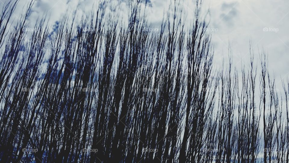 No Person, Nature, Desktop, Landscape, Abstract