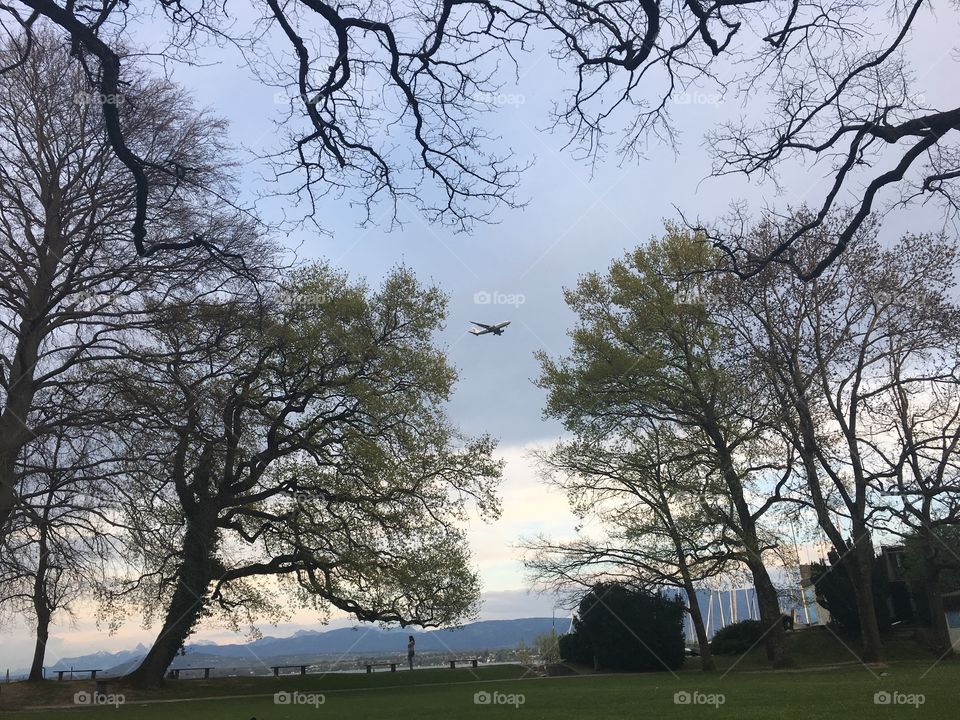 Geneva sky