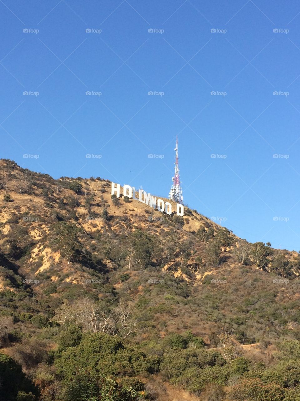 Hollywood sign