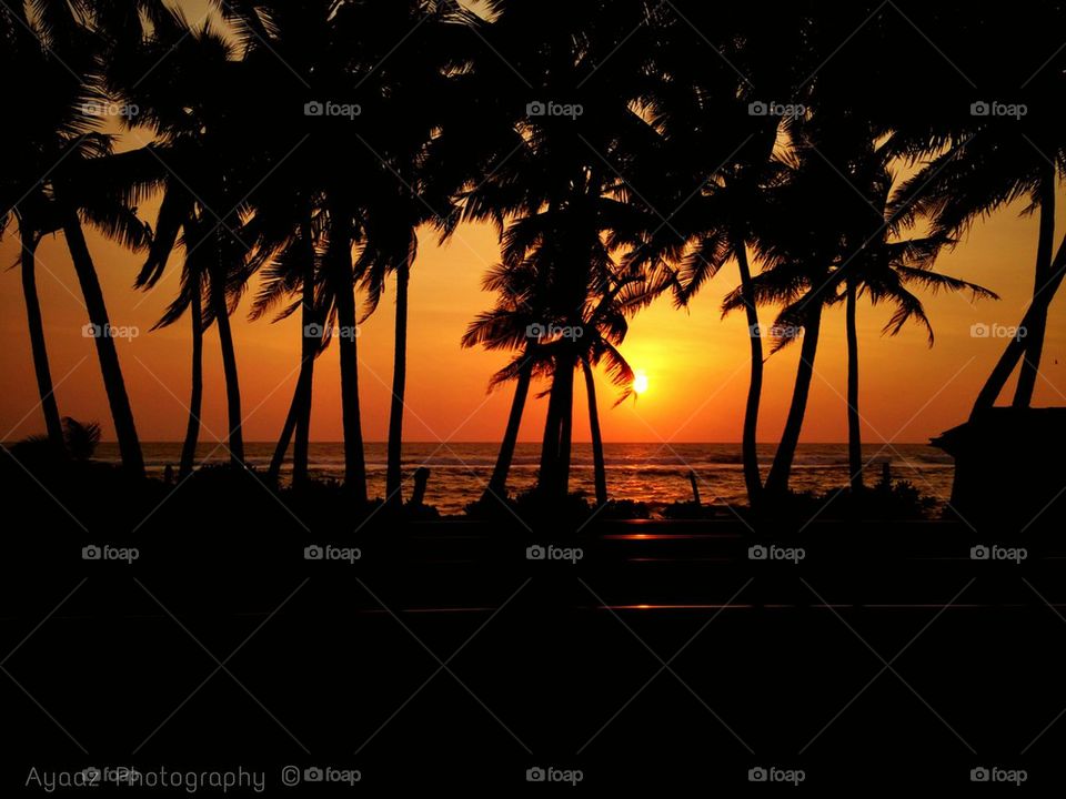 Sunset - Sri Lanka
