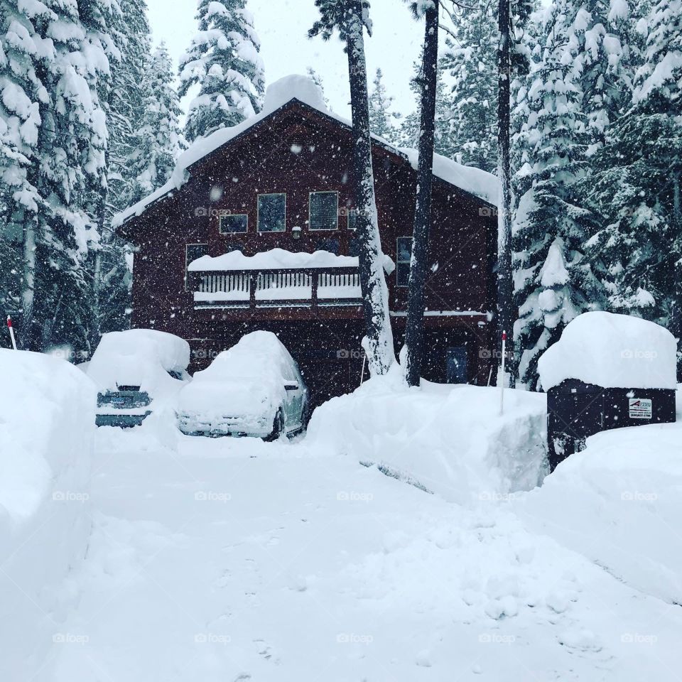 Cars and cabin buried in snow after a storm. 