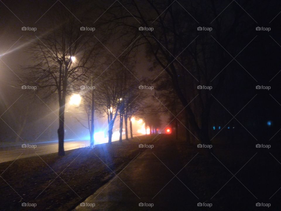 night city park view beautiful light and dark winter weather mist