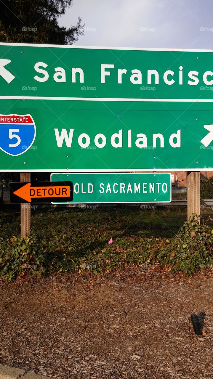 Which way to go? Decisions decisions!