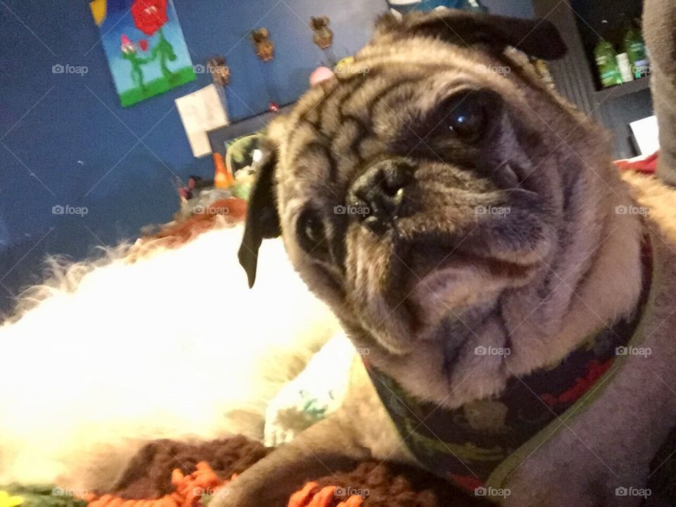 Bedding down for winter