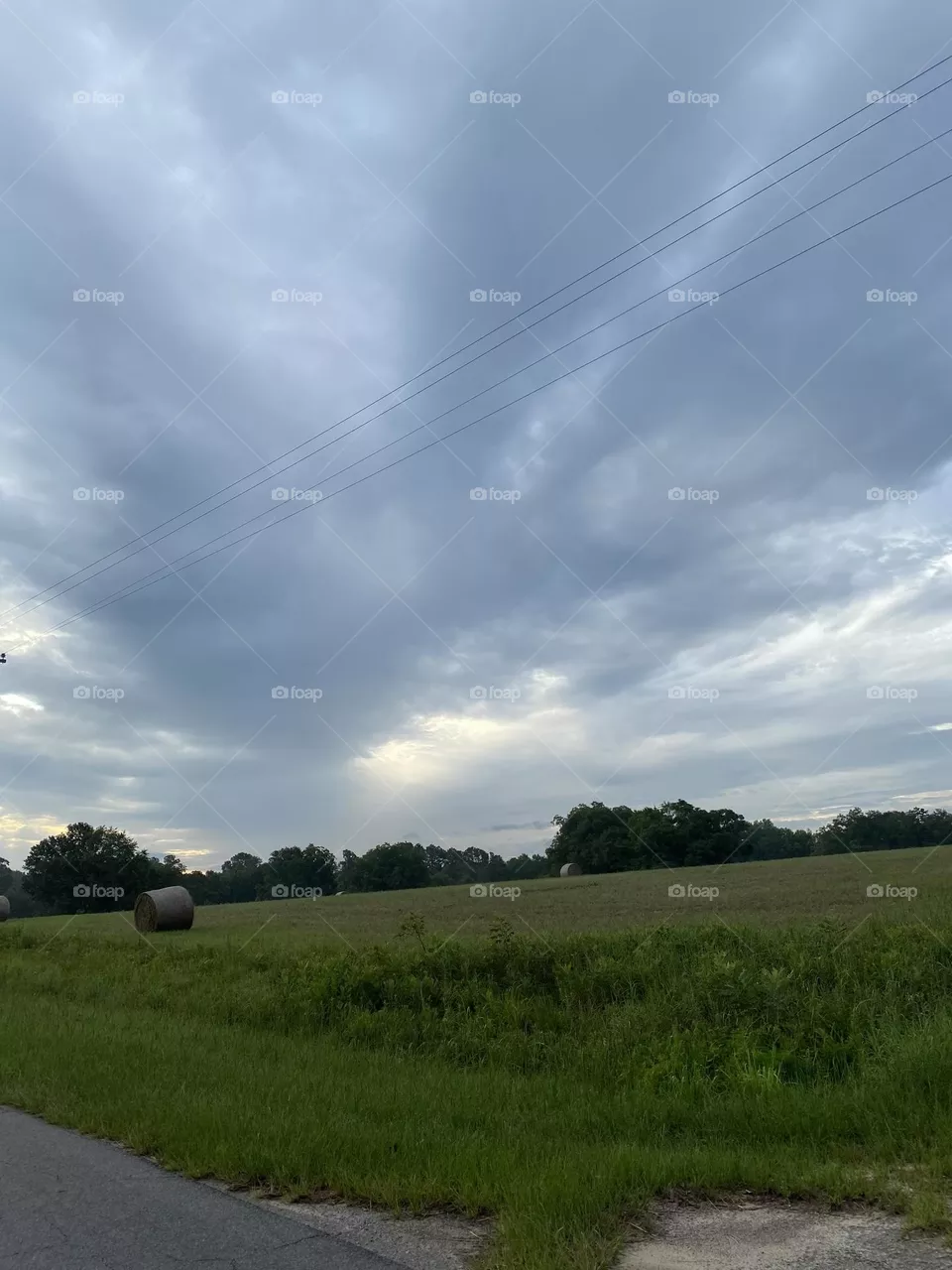 A field of green 