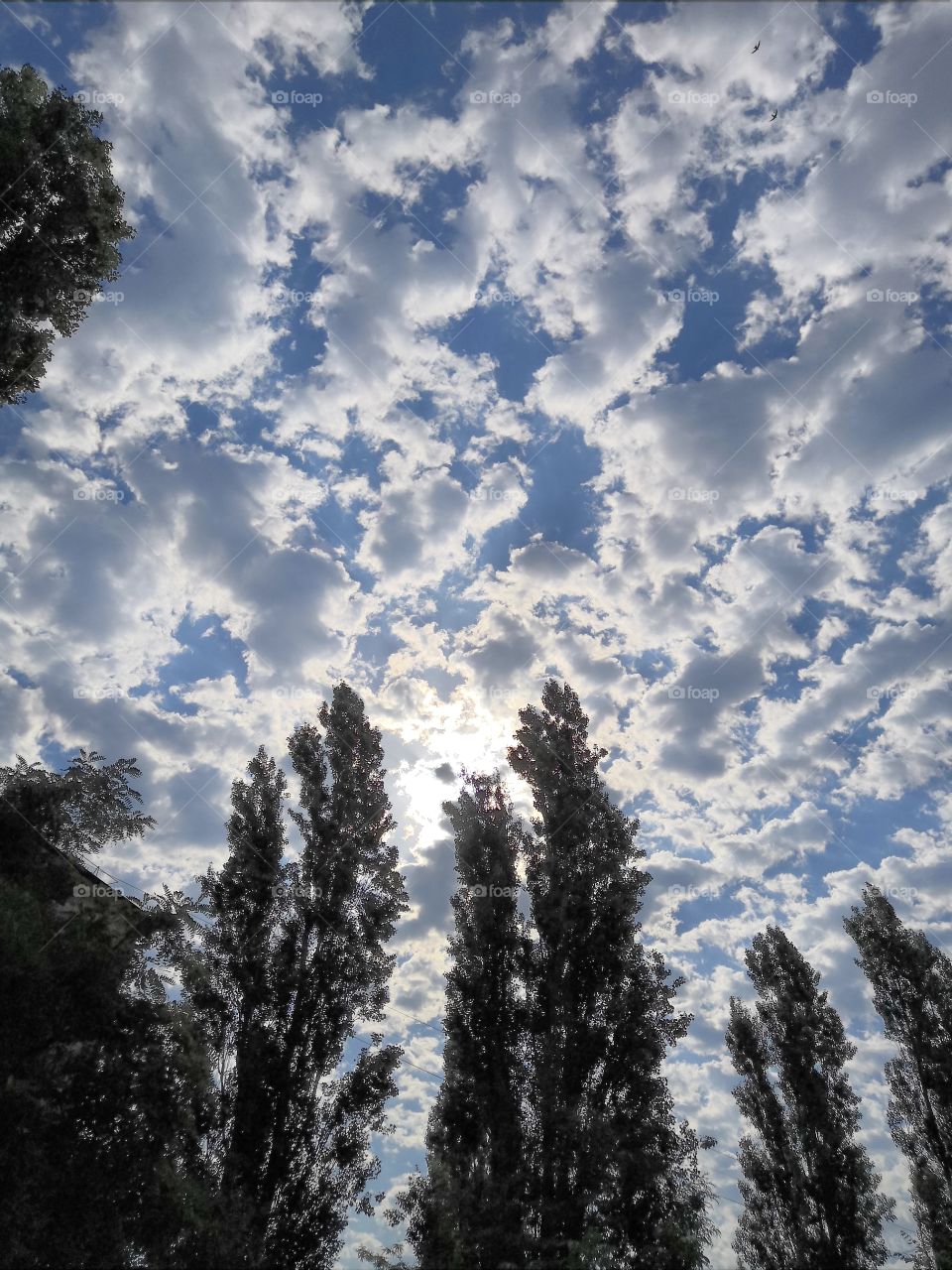 "The sun won't stay behind the cloud forever."