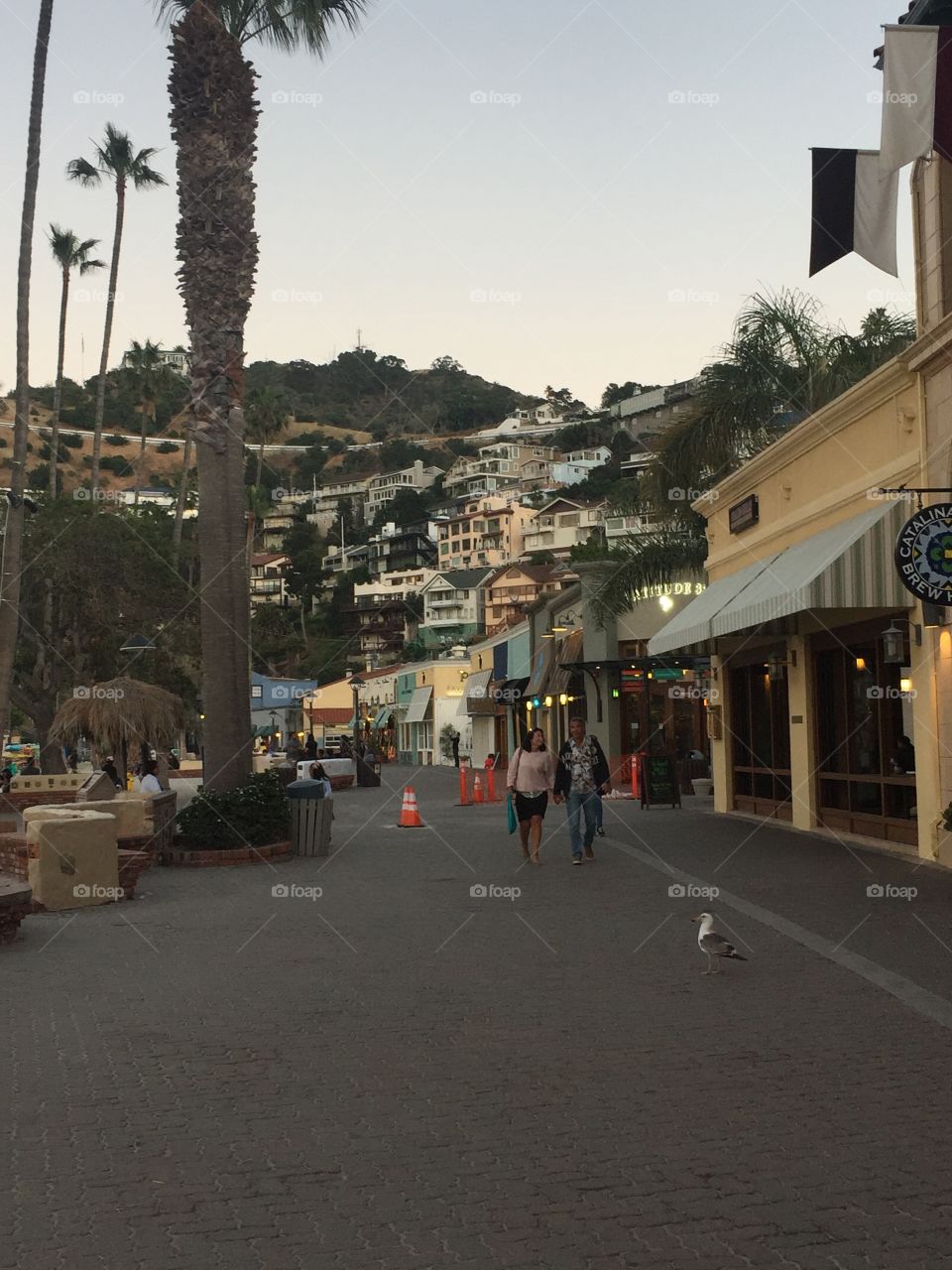 A couple walking on Catalina island with the awesome houses perched in the hills