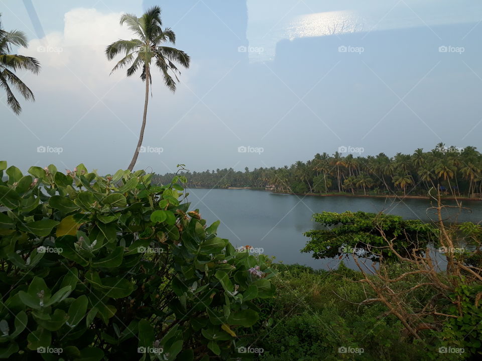 backwaters