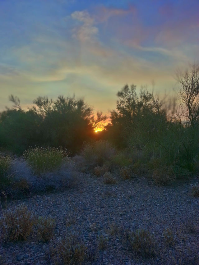 Sunset