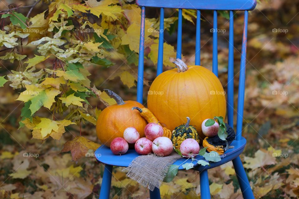 autumn, pumpkins time