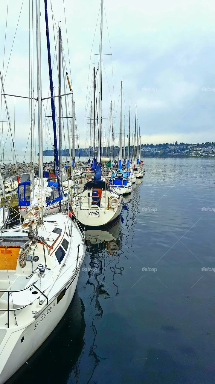 marina