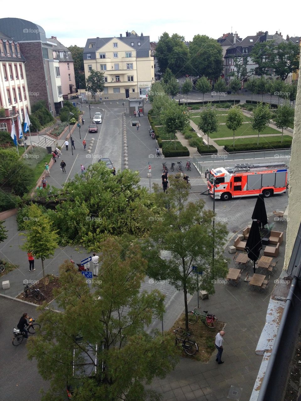 Old tree crashed on taxi in residential area in Frankfurt