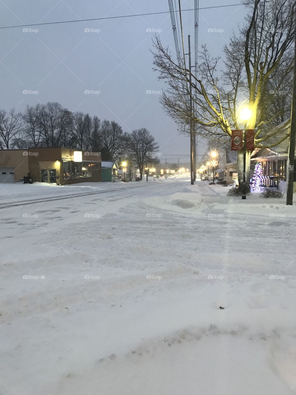 The city in the snowstorm 
