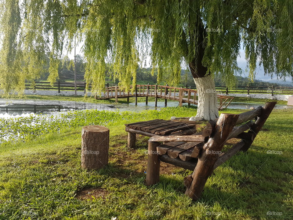 wood bench of the lake