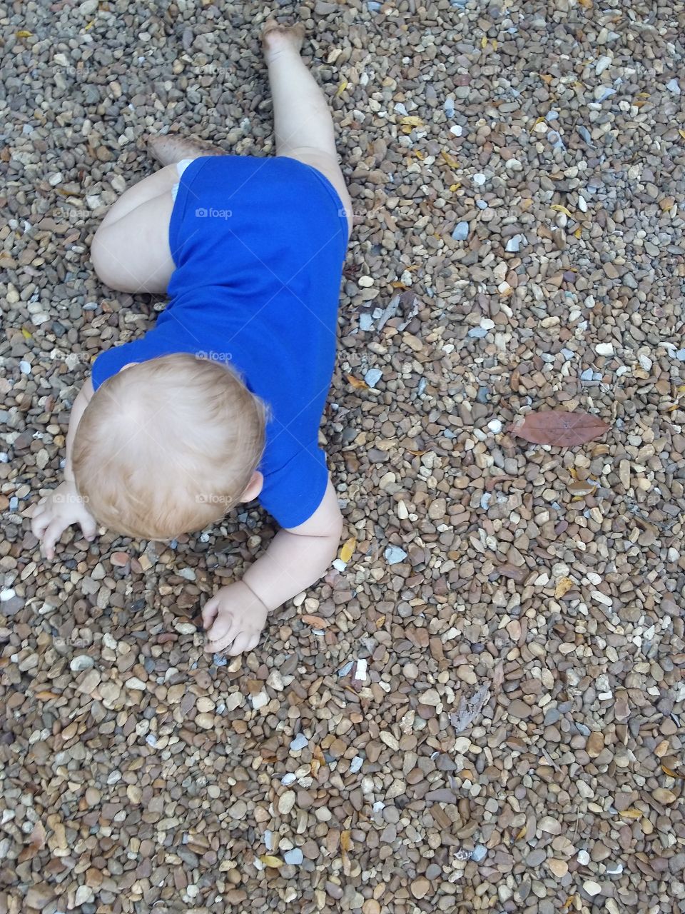 What Little Boys Are Made Of