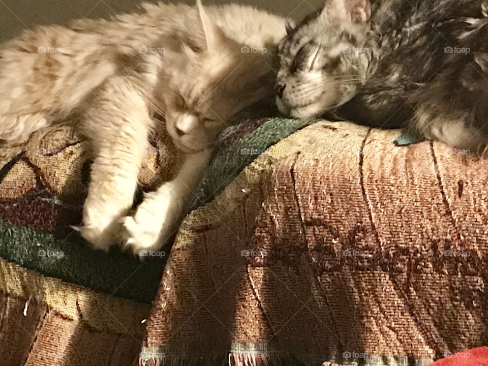 Sleeping bro’s....