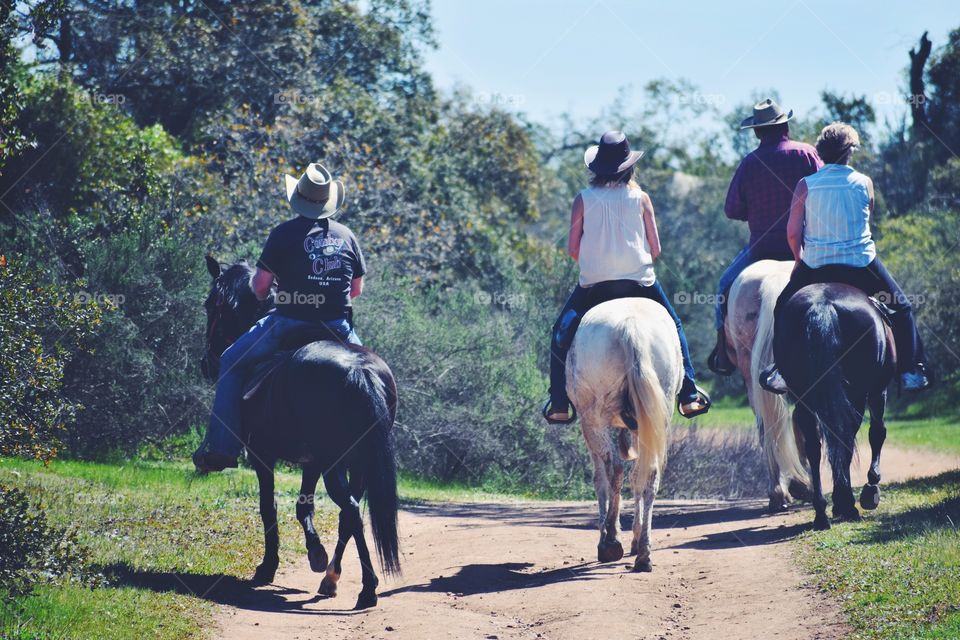 Horse riding 