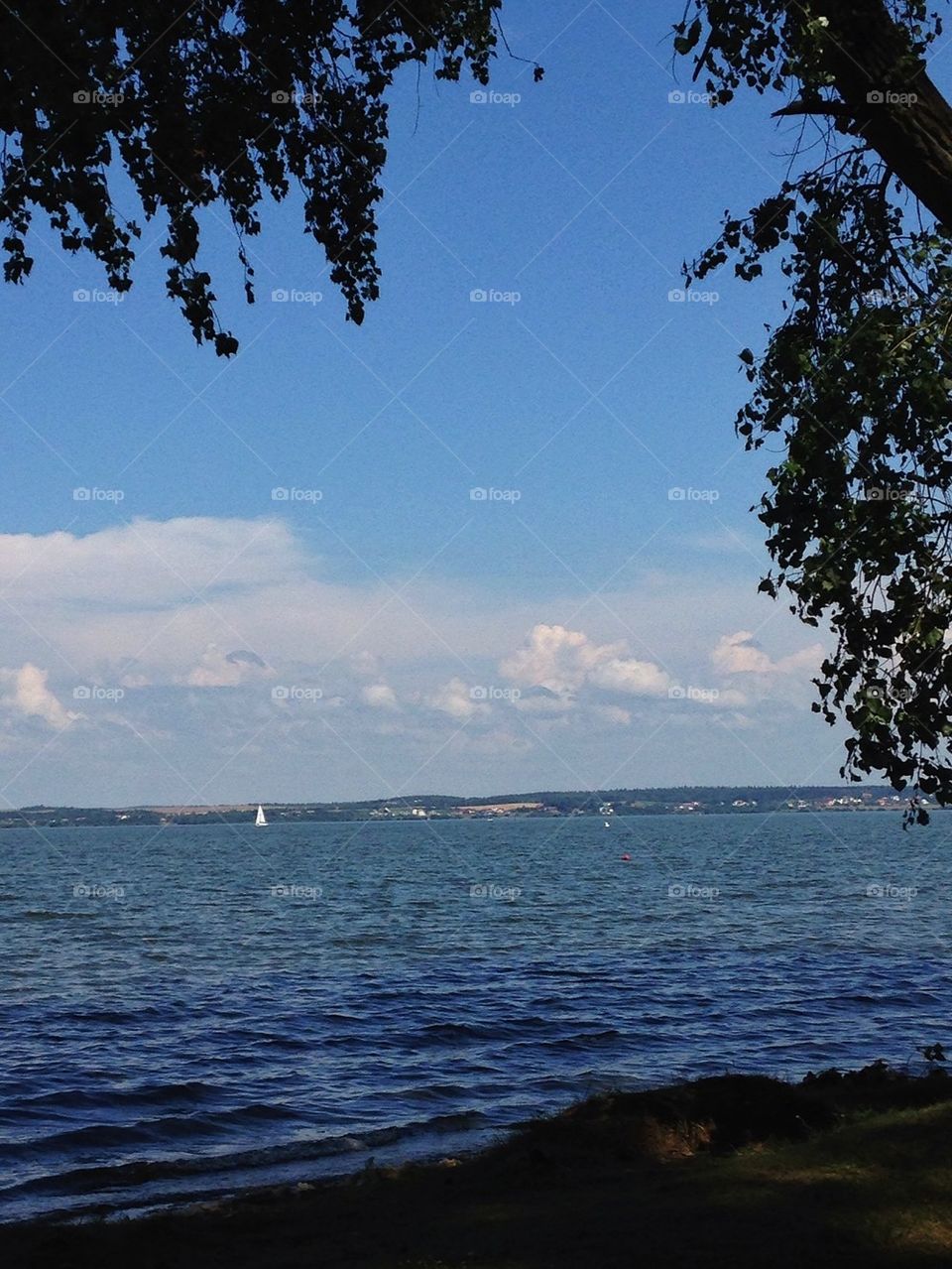 Sea 