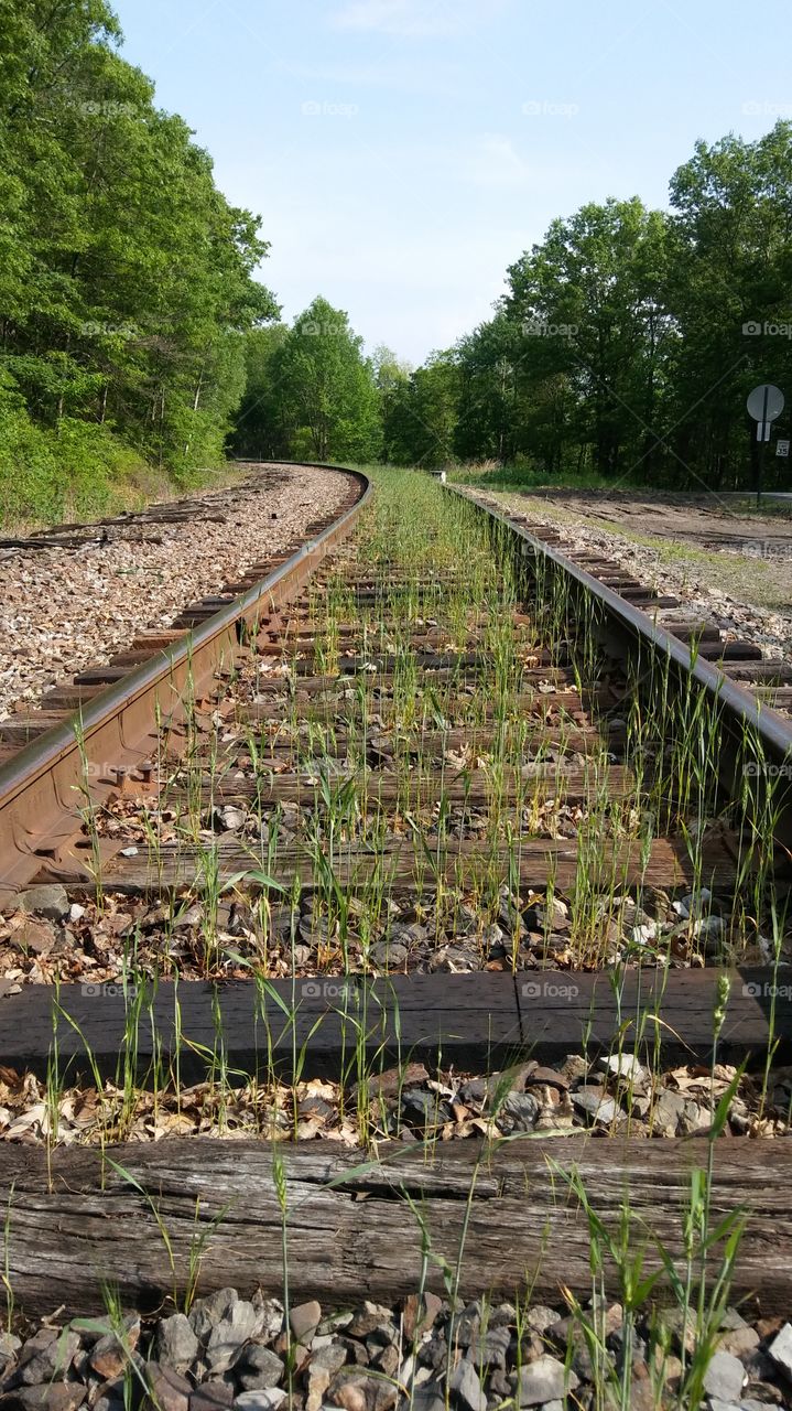 The Tracks Need to be Mowed