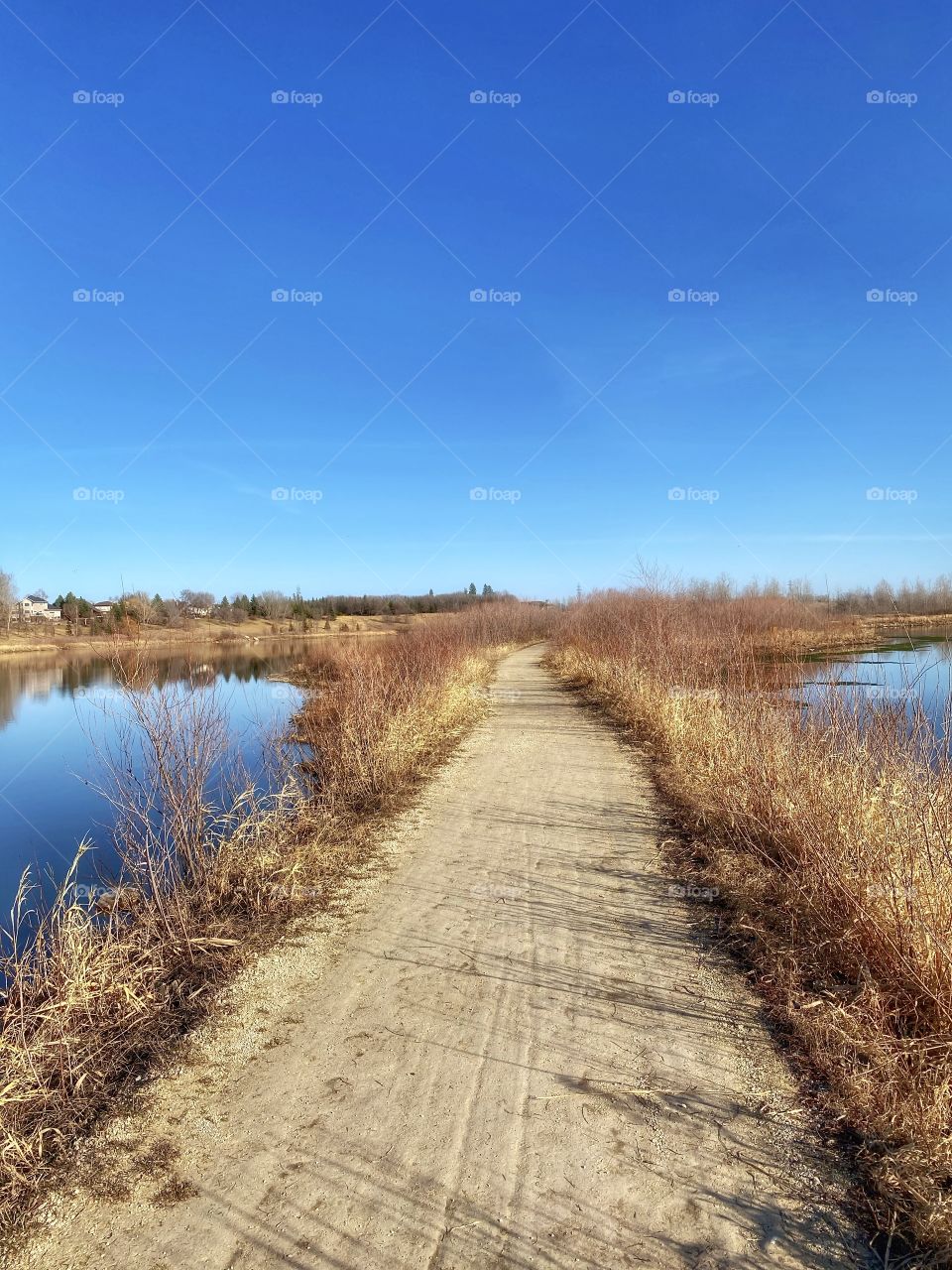 Nature trail 