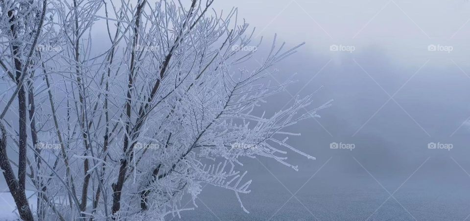 Nature’s icy artistry 