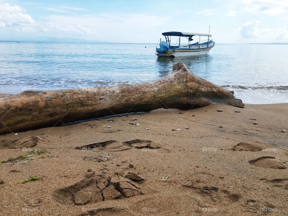 A big olg trunk lying on the sand and there is a boat in front of it