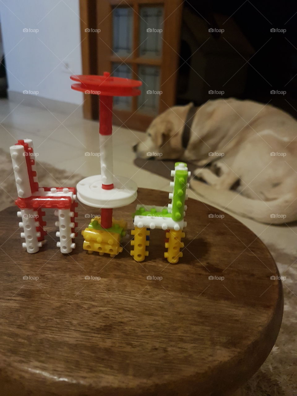 Toys and dog