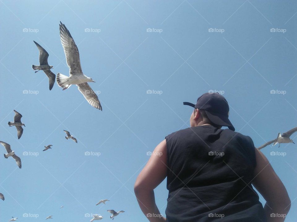 Beautiful and nice moment with flying seagulls at essaouira city in Morocco.