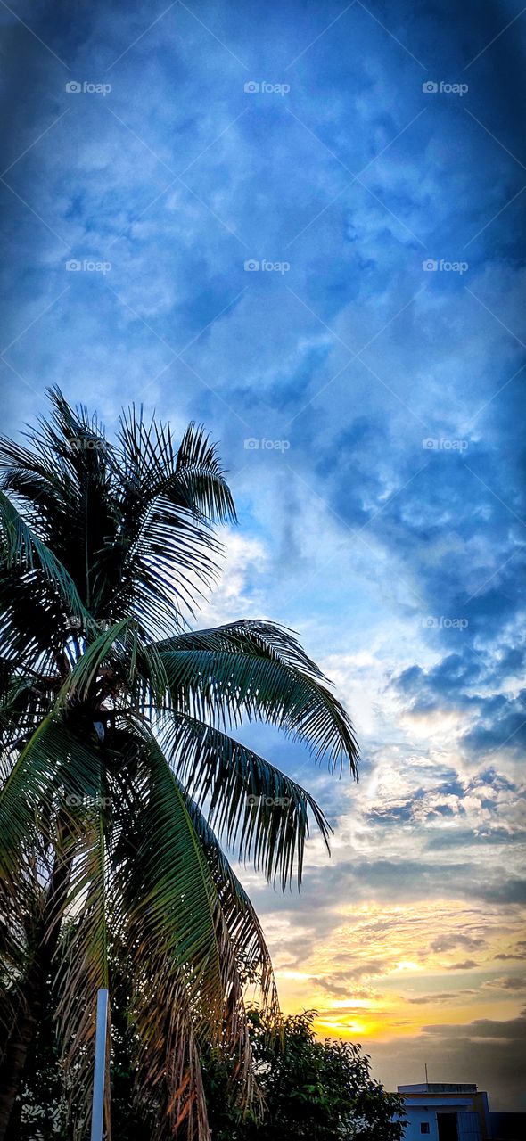 Magic of Natural art on sky's with clouds and sunset shines, it's always loved to watch the amazing natural painting