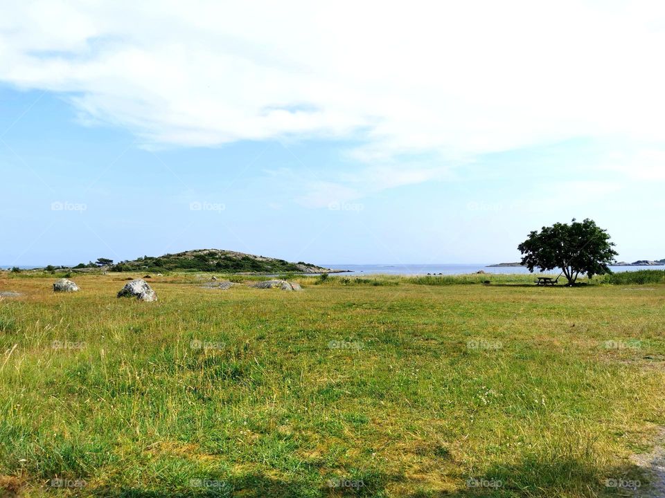 Seaview from the meadow