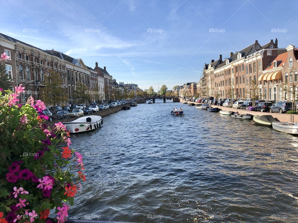 Canal in Haarlem 