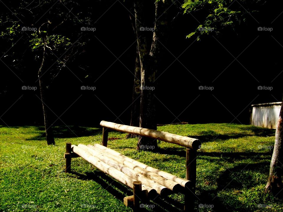 Bench, Wood, Tree, No Person, Garden