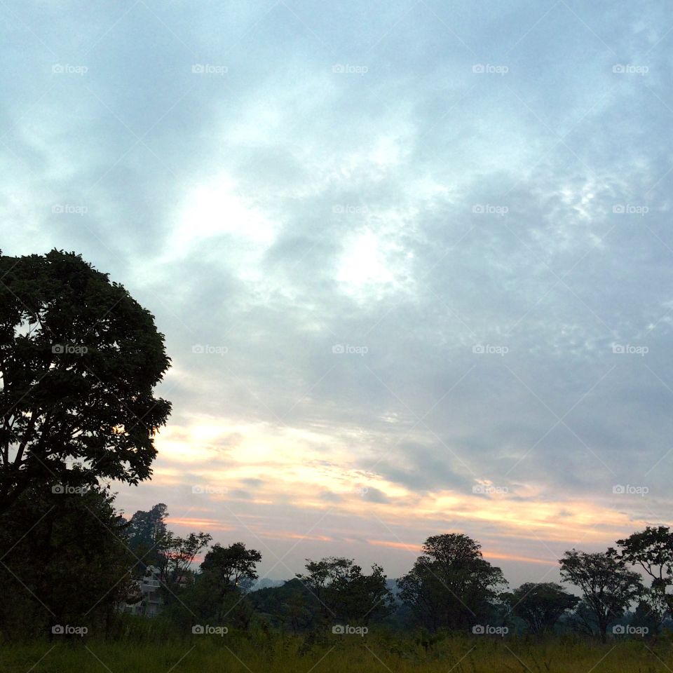 🌅 06h30 -Desperte, #Jundiaí.
Que a #QuintaFeira possa valer a pena!
🍃🙌🏻 
#sol #sun #sky #céu #photo #nature #morning #alvorada #natureza #horizonte #fotografia #pictureoftheday #paisagem #inspiração #amanhecer #mobgraphy #mobgrafia