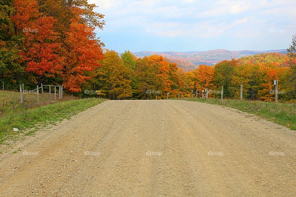 Autumn dirt road 