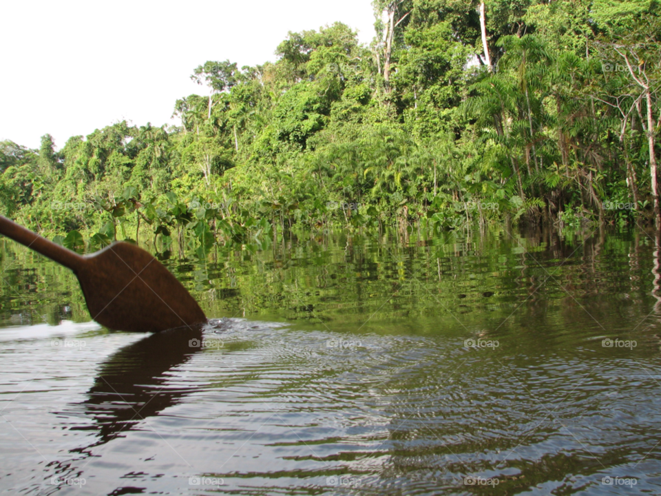 jungle river paddle amazon by izabela.cib