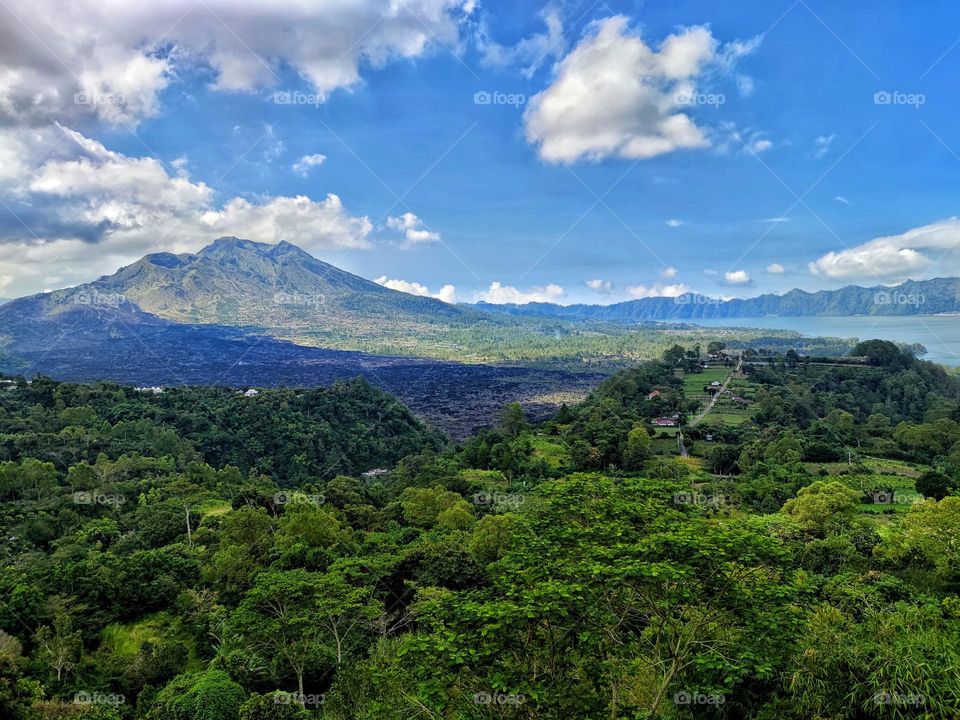 Forest with mountains and lakes in the background