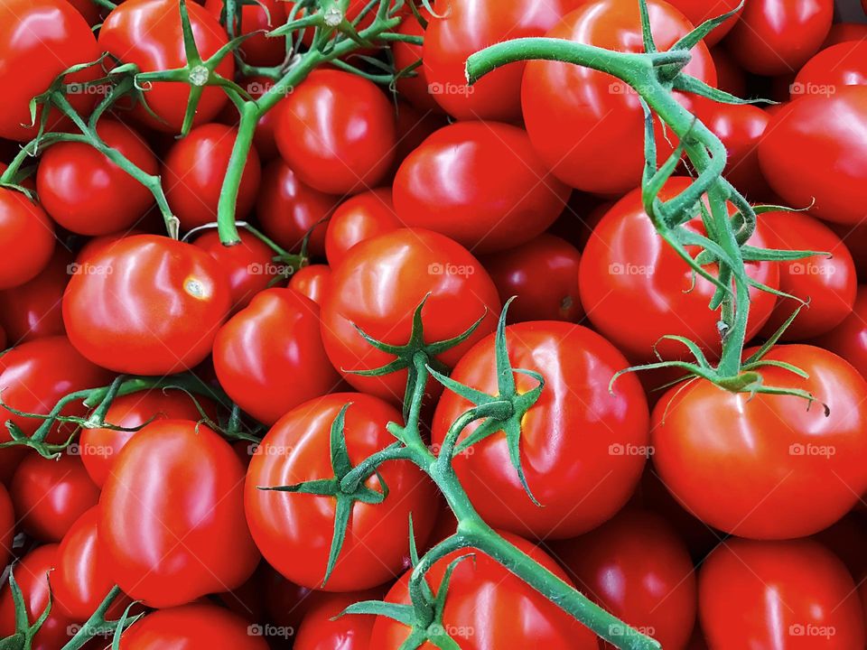 Red tomatoes 